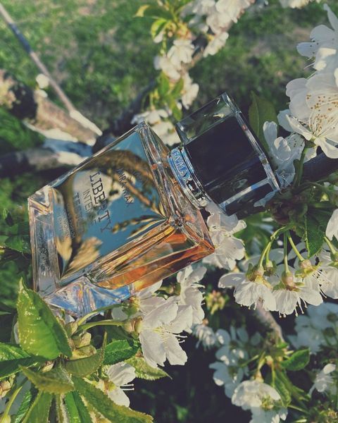 Парфумована вода для жінок "Liberty Intense" Mira Max, 50 мл 2064 фото
